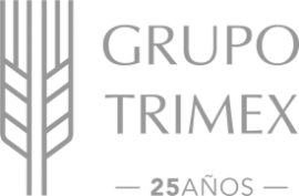 idXImDfrTj_logos 1 idXImDfrTj_logos 1
